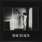 bauhaus-in-the-flat-field1.jpg