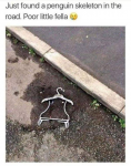 1581089090598.png