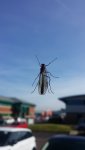 20180409_105232.jpg