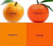 IMG_6923.jpeg