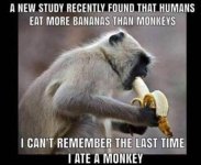 TCV-Humor-Monkey-banana.jpg
