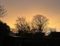 IMG_8155.jpeg