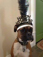 IMG_0797.jpeg