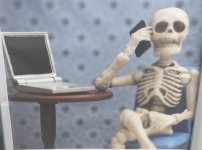 Skeleton6733653524_7172128625503567710_n.jpg