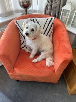 IMG_0051.jpeg