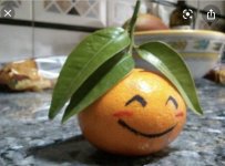 1620220841158.jpeg