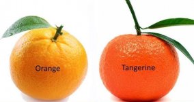 tangerine.jpg