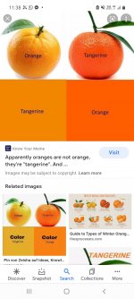 Screenshot_20210624-113816_Google.jpg
