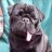 puggiz